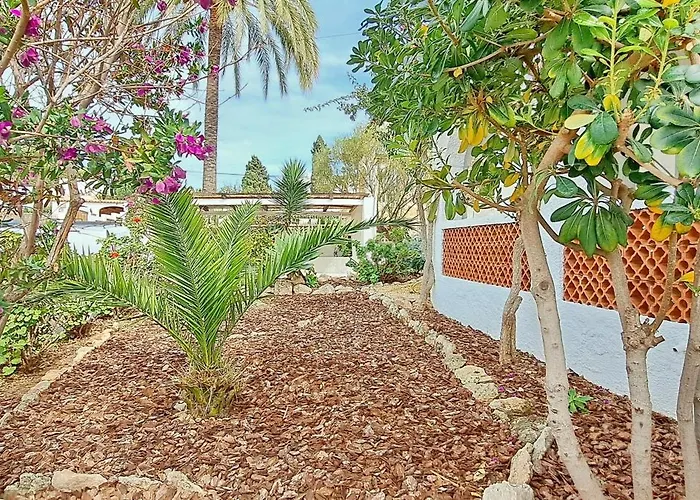 Sol مورايرا